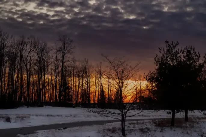 Seasonal Auto Transport Routes Across the USA by Rapid Auto Shipping