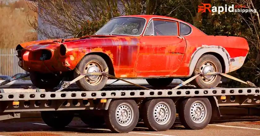 Professional Auto Transport Service