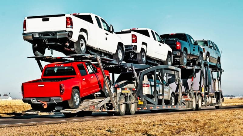 Shipping Service - Professional Transport